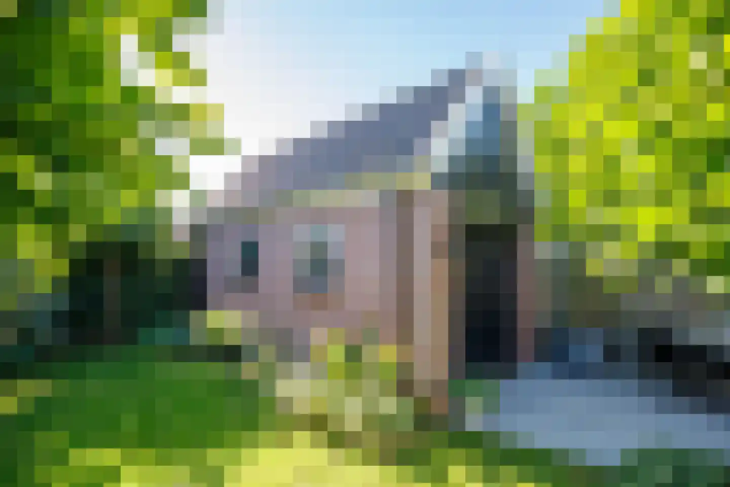 Pleinstraat 7 Bergambacht thumbnail 38