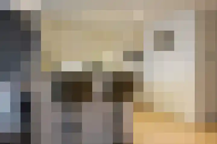 Pleintjes 141 Veldhoven thumbnail 11