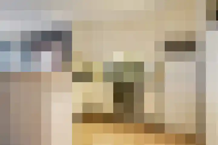 Pleintjes 141 Veldhoven thumbnail 12