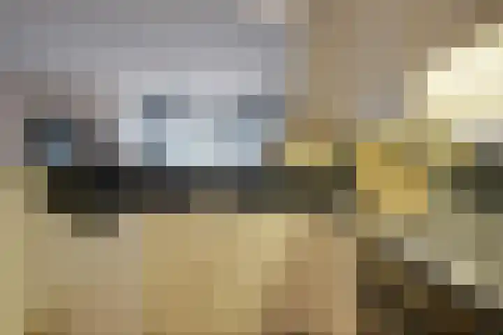 Pleintjes 141 Veldhoven thumbnail 13