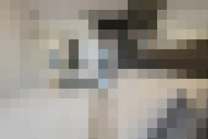 Pleintjes 141 Veldhoven thumbnail 17