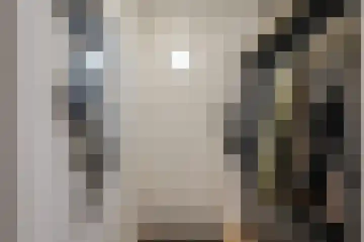 Pleintjes 141 Veldhoven thumbnail 5