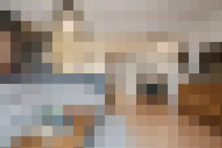 Pleintjes 141 Veldhoven thumbnail 7