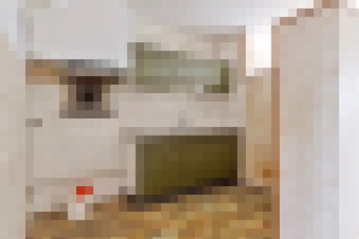 Pleintjes 155 Veldhoven thumbnail 13