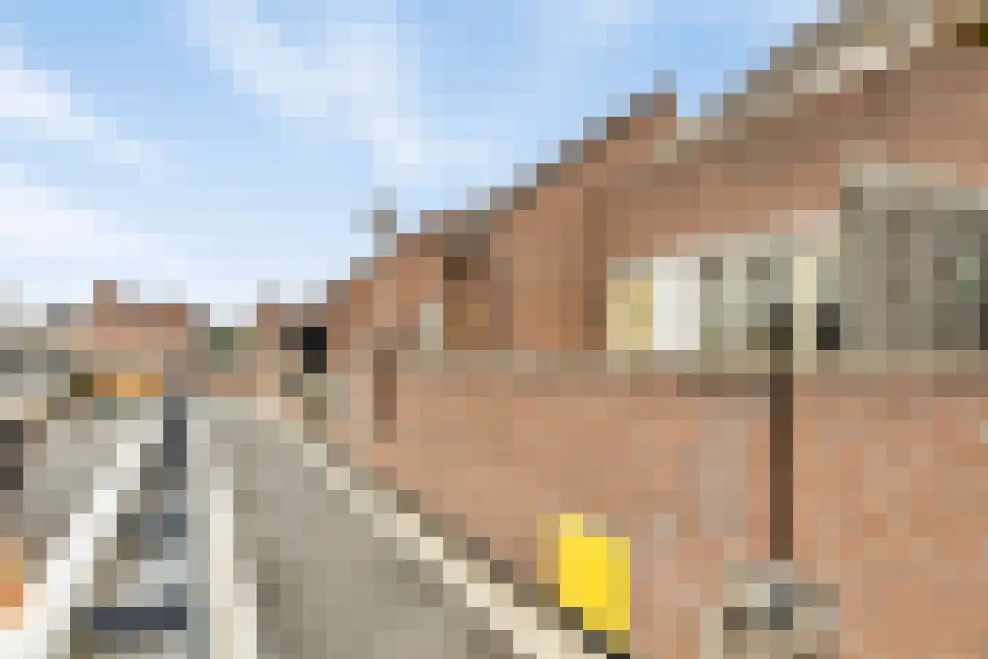 Pleintjes 155 Veldhoven thumbnail 24