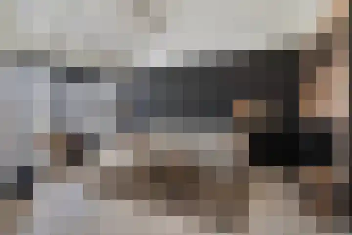 Pleintjes 171 Veldhoven thumbnail 11