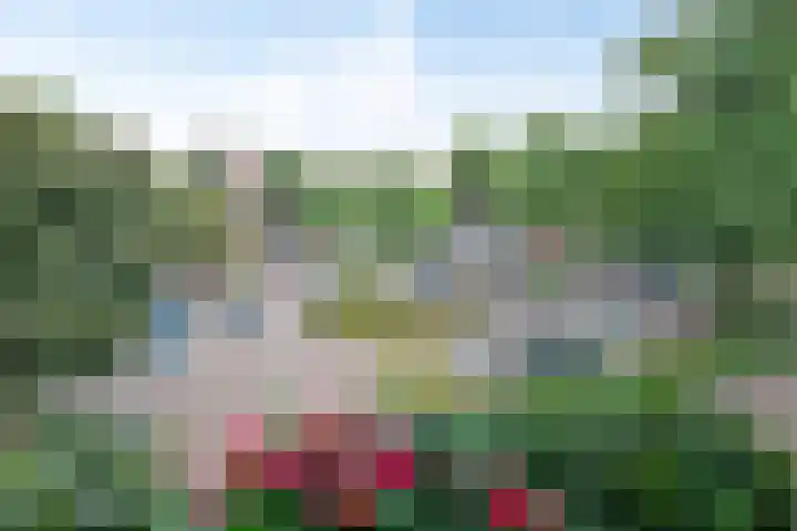 Pleintjes 171 Veldhoven thumbnail 34