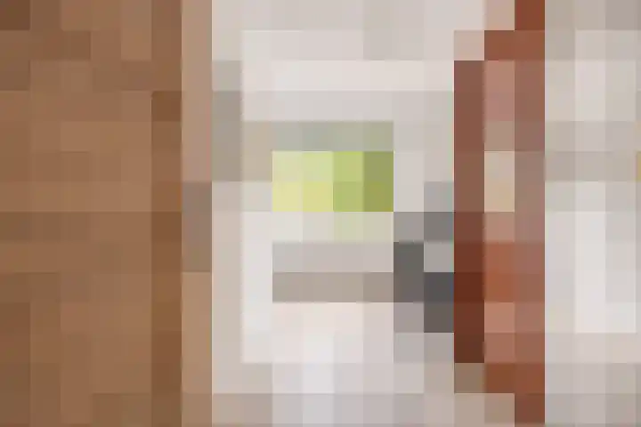 Pleintjes 191 Veldhoven thumbnail 20