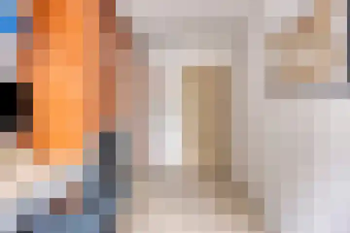 Pleintjes 191 Veldhoven thumbnail 21