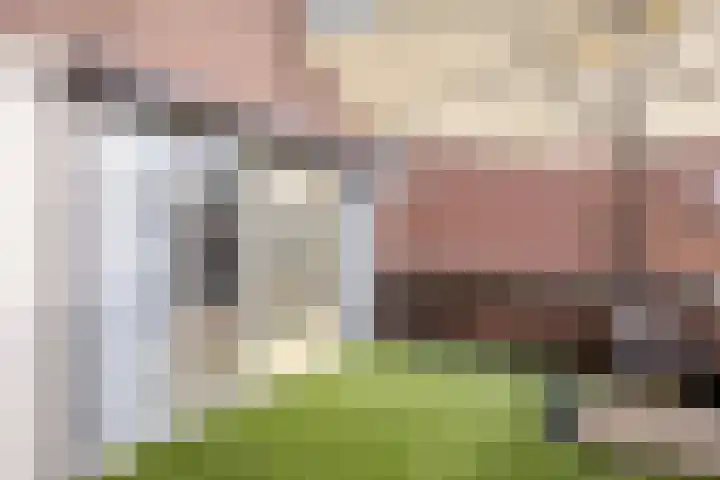 Pleintjes 191 Veldhoven thumbnail 22