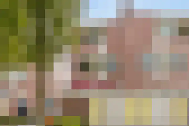 Pleintjes 191 Veldhoven thumbnail 27