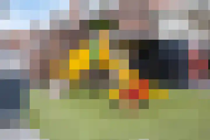 Pleintjes 191 Veldhoven thumbnail 32