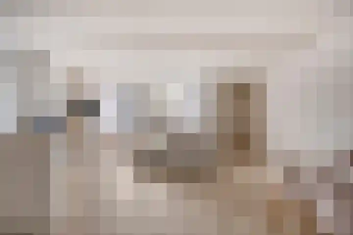Pleintjes 191 Veldhoven thumbnail 8