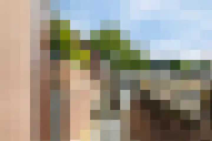Pleintjes 221 Veldhoven thumbnail 29