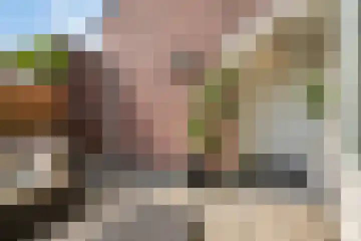 Pleintjes 221 Veldhoven thumbnail 4
