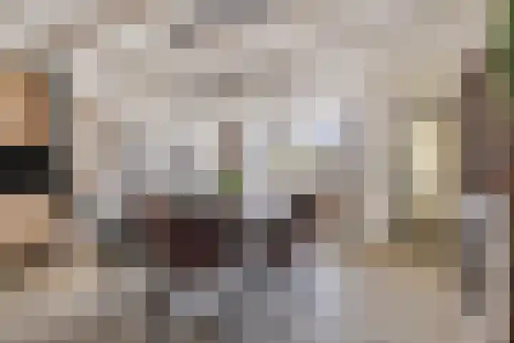 Pleintjes 221 Veldhoven thumbnail 7