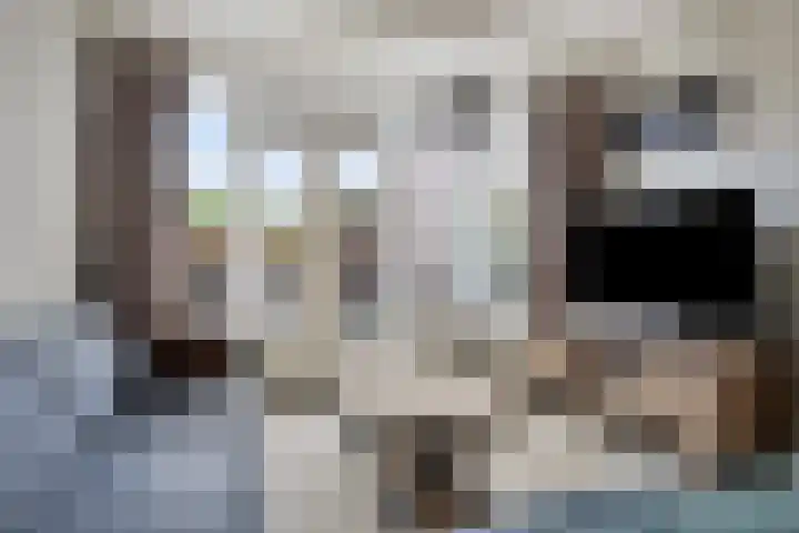 Pleintjes 221 Veldhoven thumbnail 9