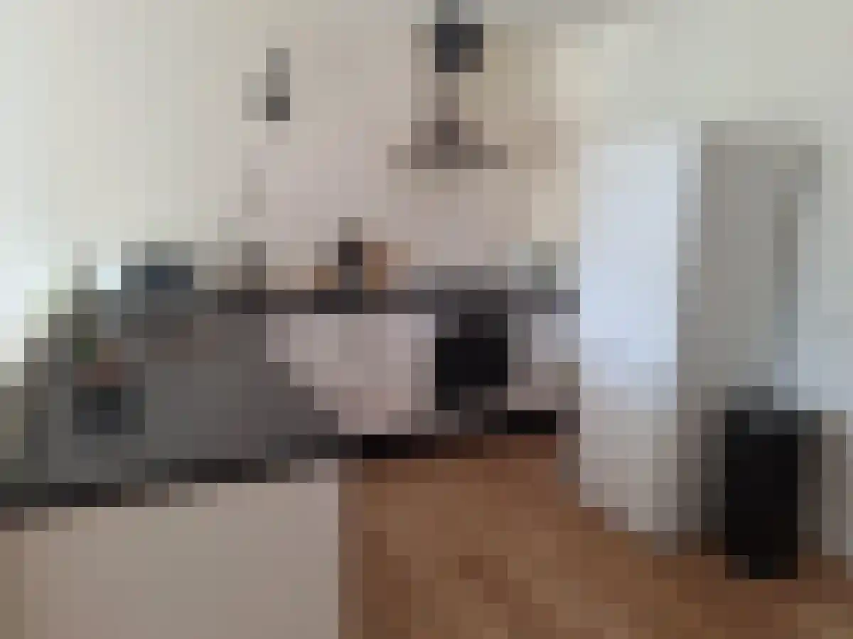 Pleintjes 247 Veldhoven thumbnail 4