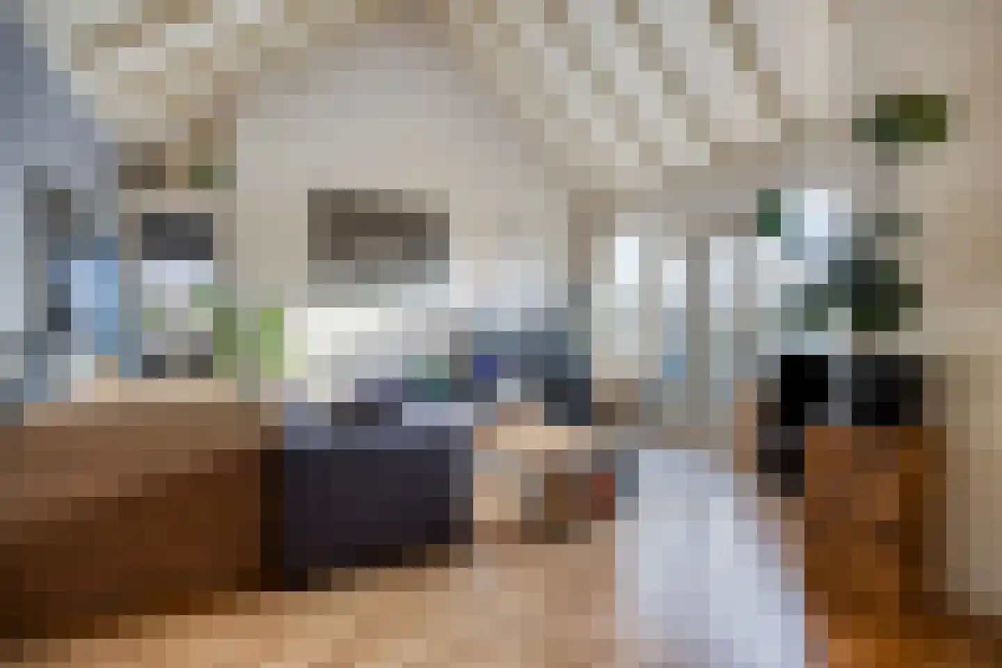 Pleintjes 251 Veldhoven thumbnail 4