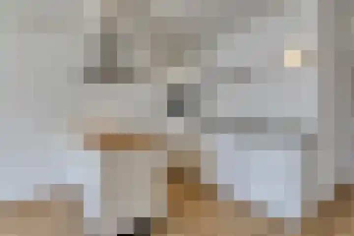 Pleintjes 99 Veldhoven thumbnail 5
