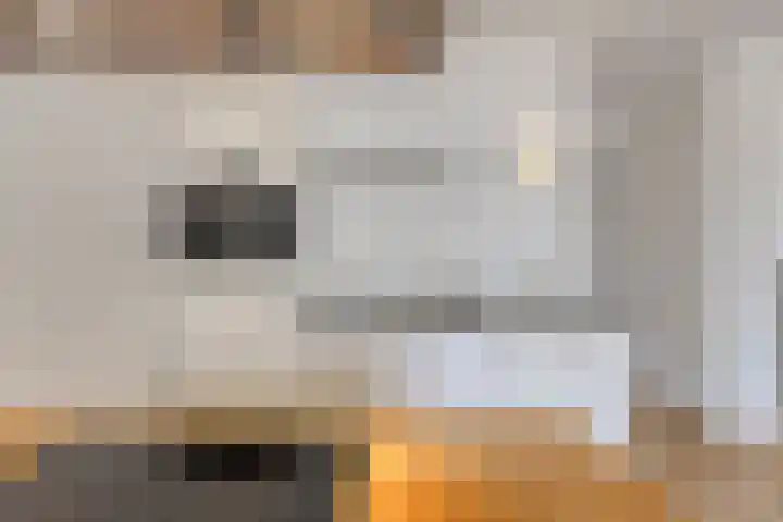 Pleintjes 99 Veldhoven thumbnail 6