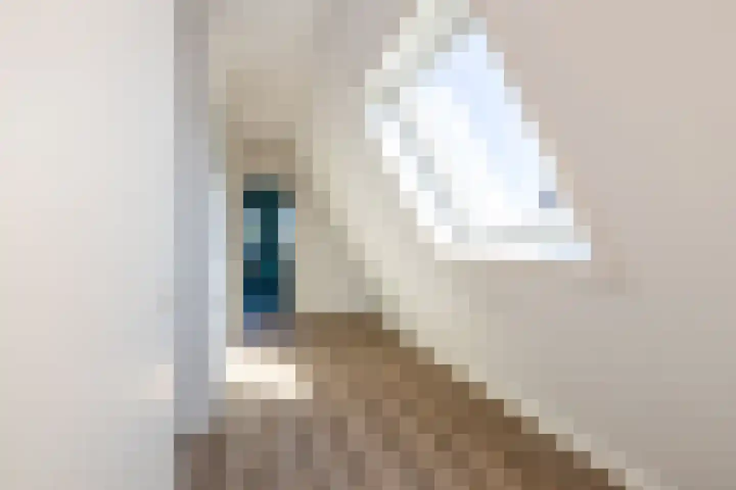 Pleinwand 12 Wateringen thumbnail 20