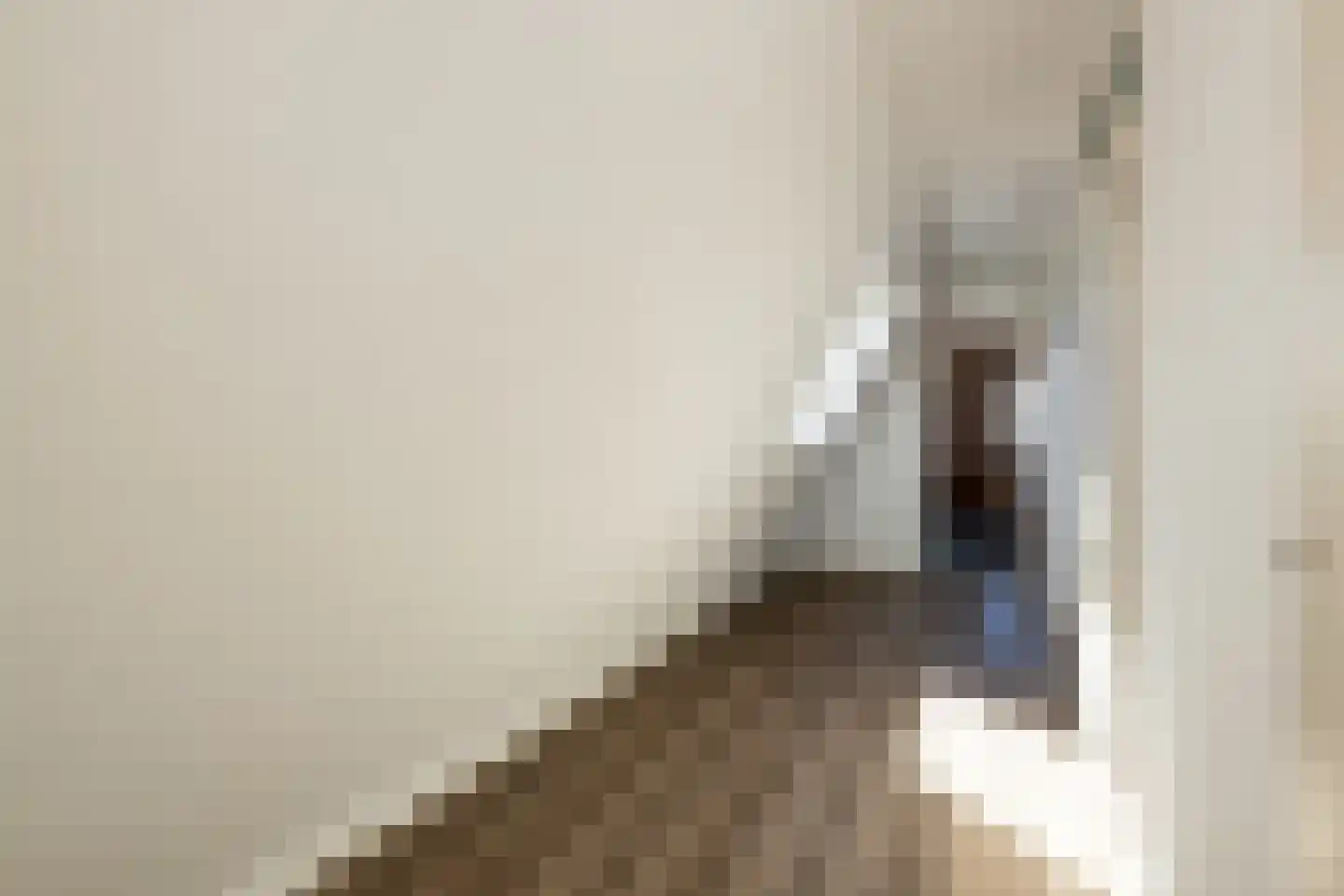 Pleinwand 12 Wateringen thumbnail 26