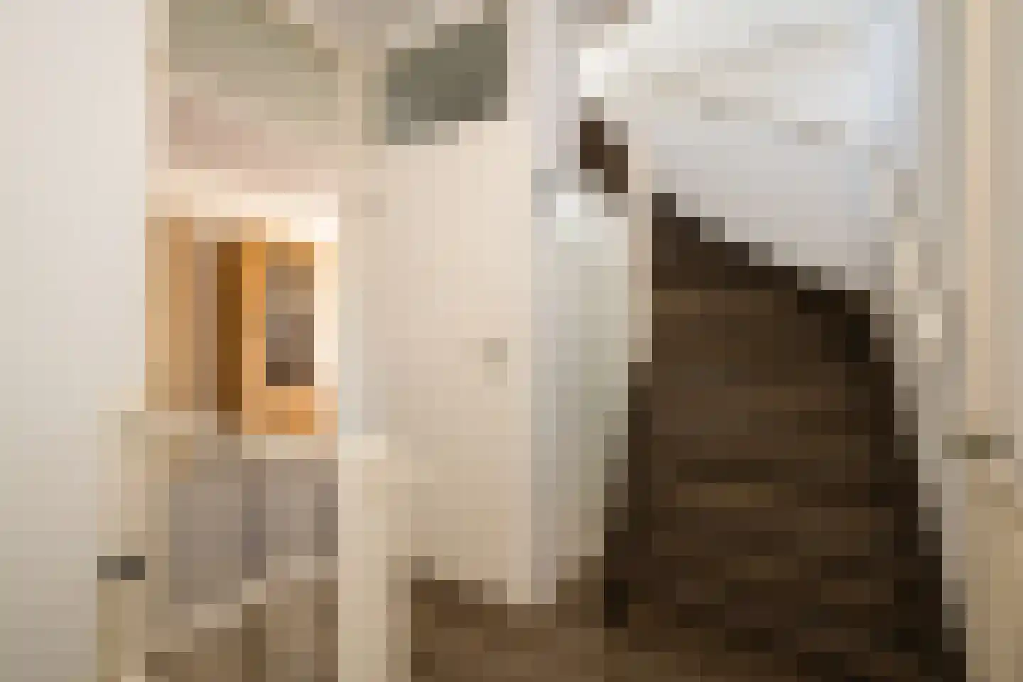 Pleinwand 12 Wateringen thumbnail 5
