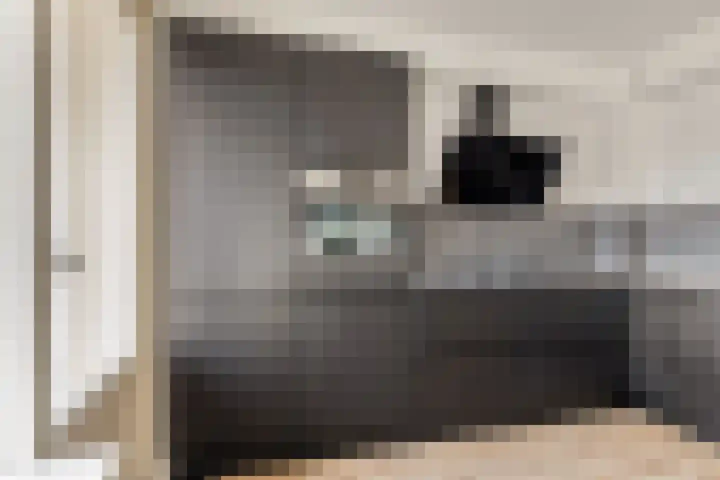Pleinwand 14 Wateringen thumbnail 13