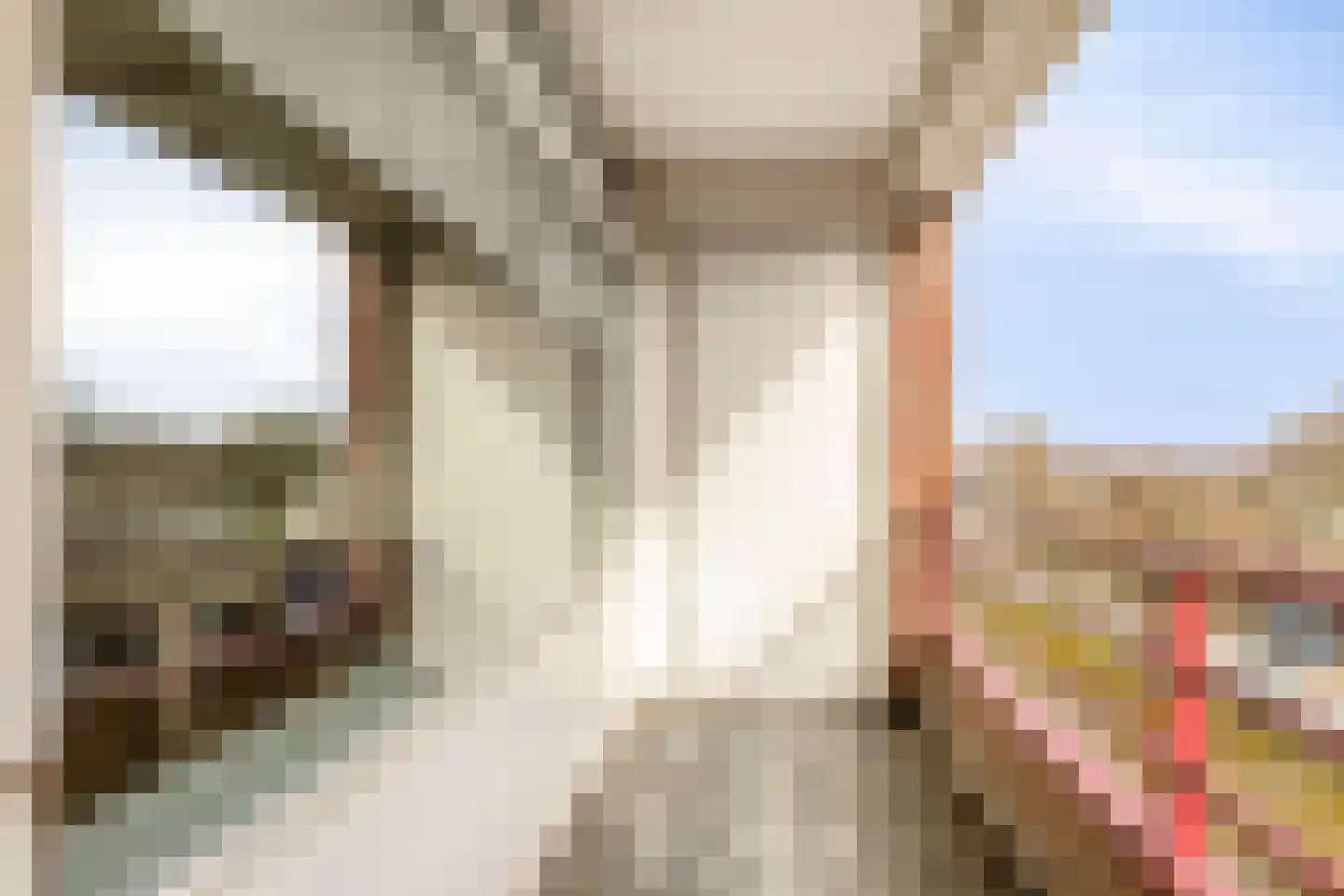 Pleinwand 14 Wateringen thumbnail 17