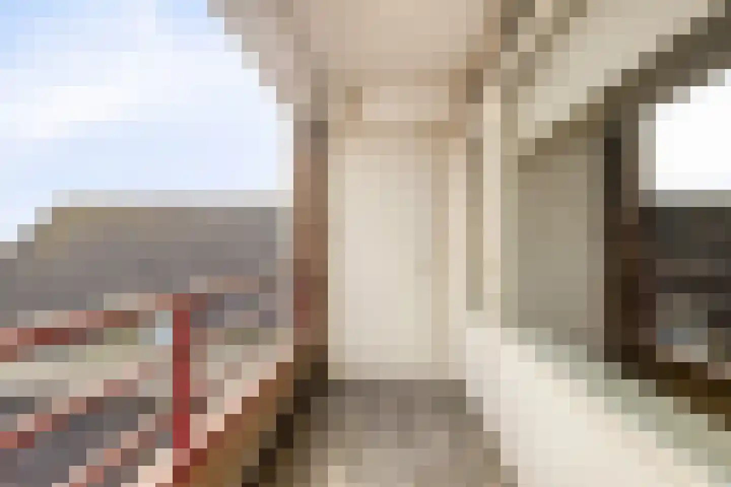 Pleinwand 14 Wateringen thumbnail 18