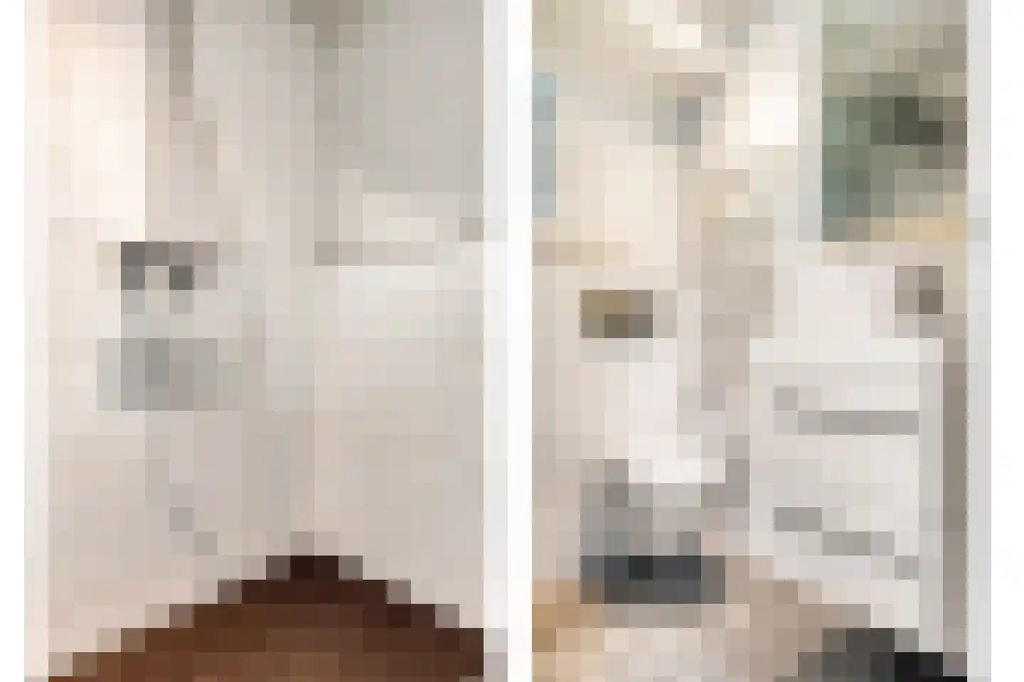Pleinwand 14 Wateringen thumbnail 27