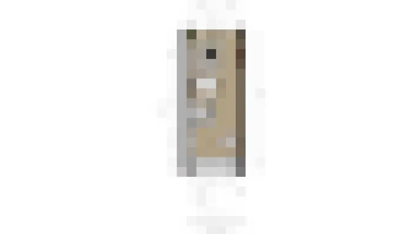 Pleinwand 14 Wateringen thumbnail 39