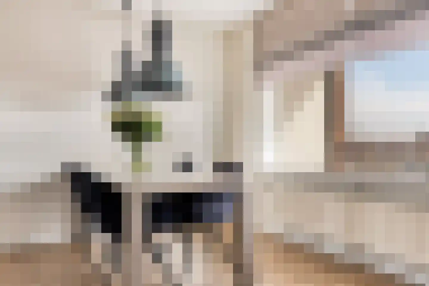 Pleinwand 14 Wateringen thumbnail 4