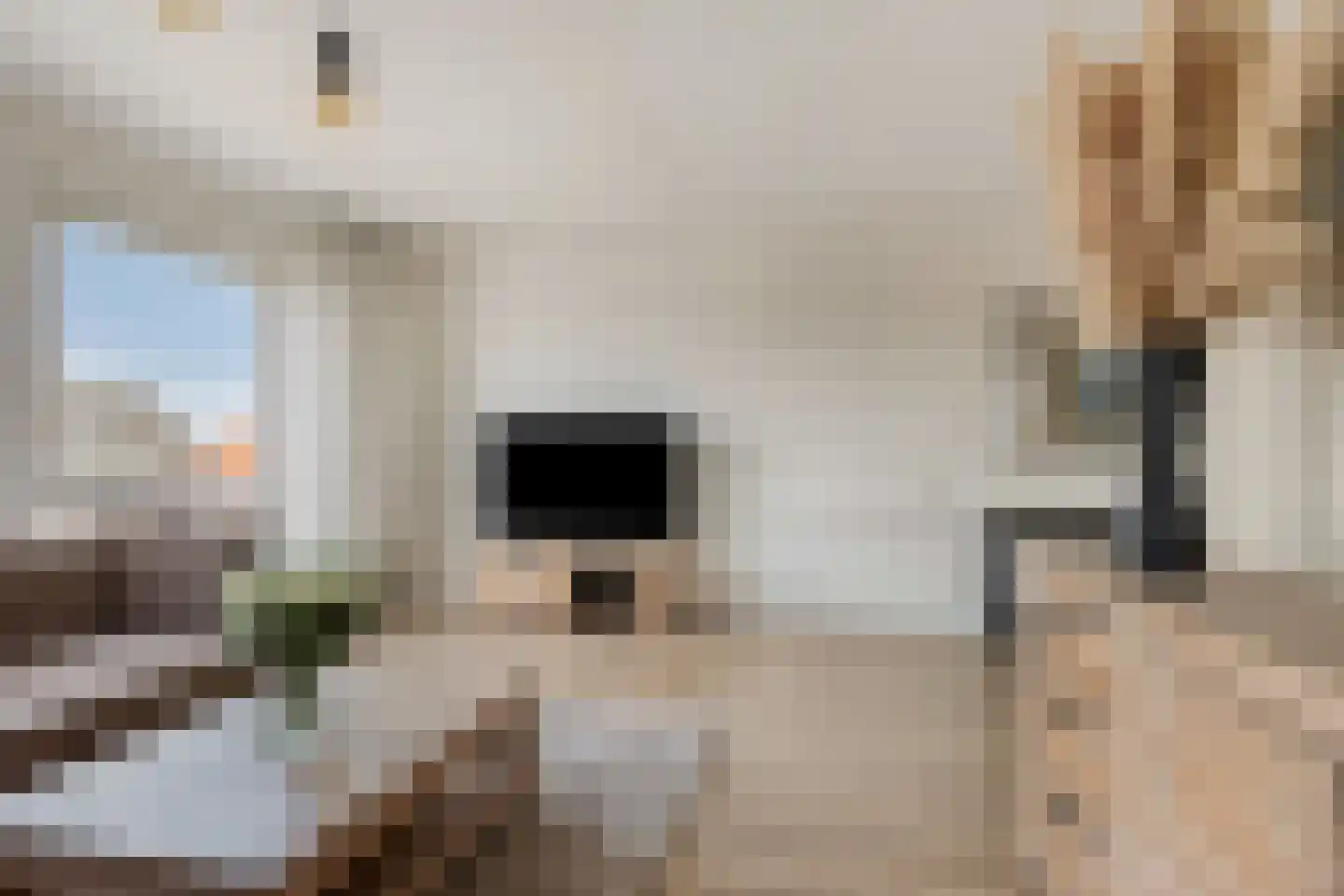 Pleinwand 14 Wateringen thumbnail 8