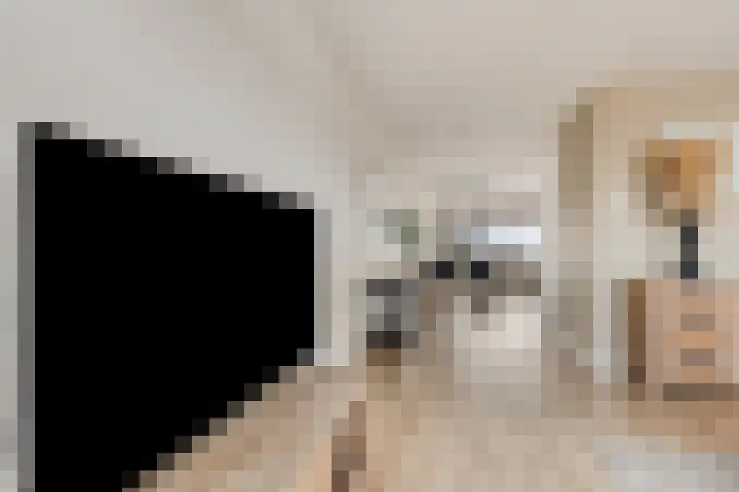 Pleinwand 14 Wateringen thumbnail 9