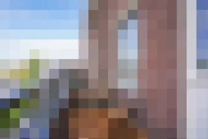 Pleinwand 27 Wateringen thumbnail 15
