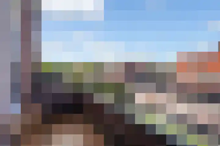 Pleinwand 27 Wateringen thumbnail 17