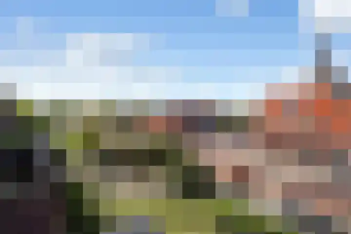 Pleinwand 27 Wateringen thumbnail 18