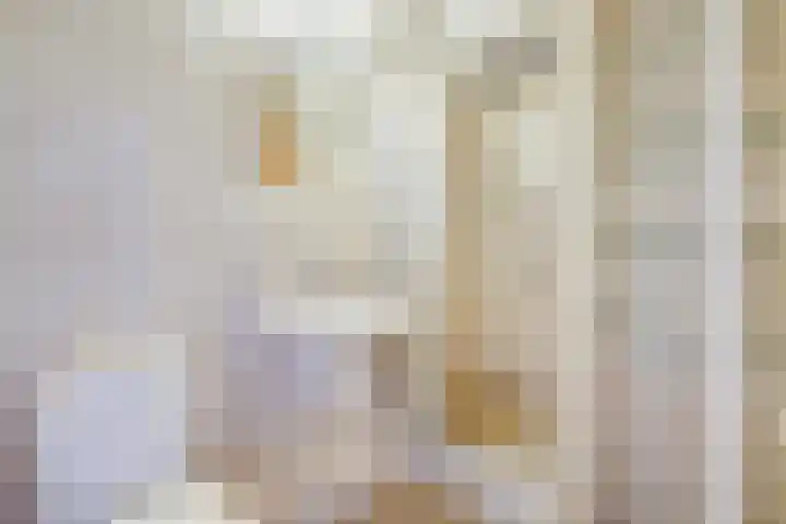 Pleinwand 27 Wateringen thumbnail 22