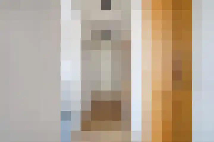 Pleinwand 27 Wateringen thumbnail 24