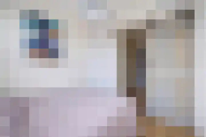 Pleinwand 27 Wateringen thumbnail 27