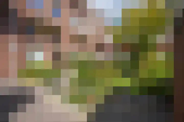 Pleinwand 27 Wateringen thumbnail 28