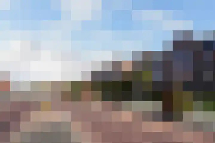Pleinwand 27 Wateringen thumbnail 29