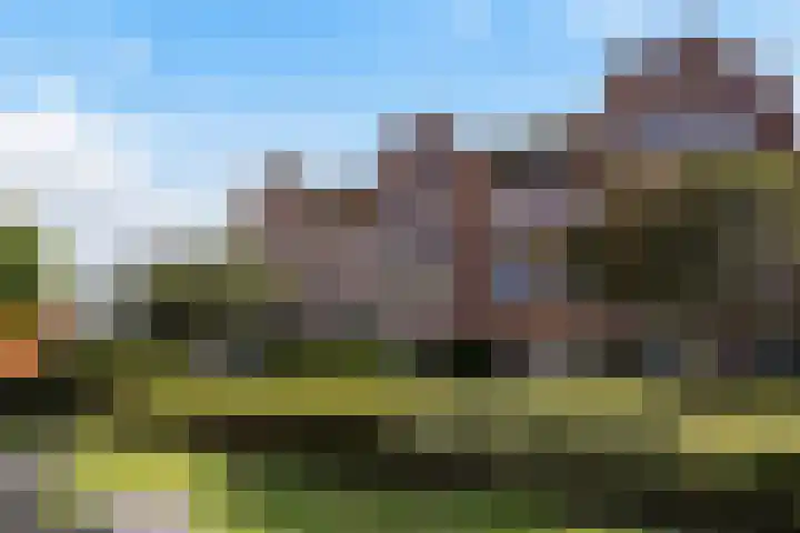 Pleinwand 27 Wateringen thumbnail 30