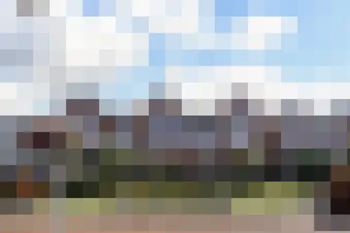 Pleinwand 27 Wateringen thumbnail 31
