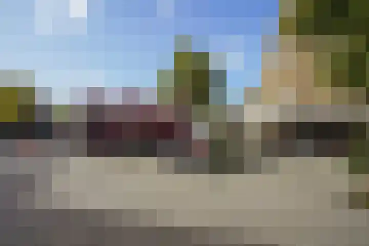 Pleinwand 27 Wateringen thumbnail 34