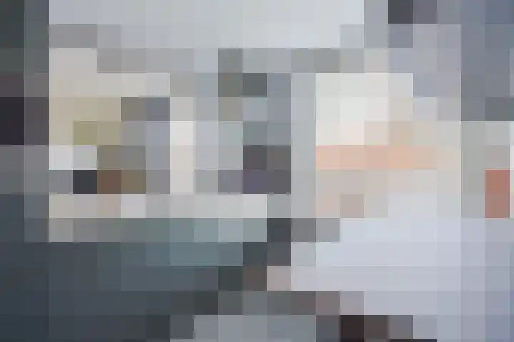 Pleinwand 27 Wateringen thumbnail 6
