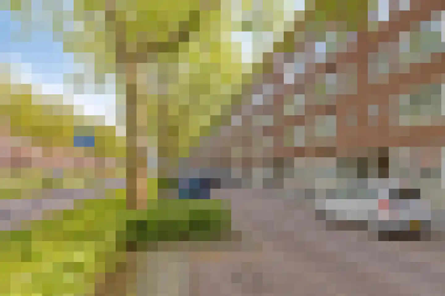 Pleinweg 102 D Rotterdam thumbnail 36