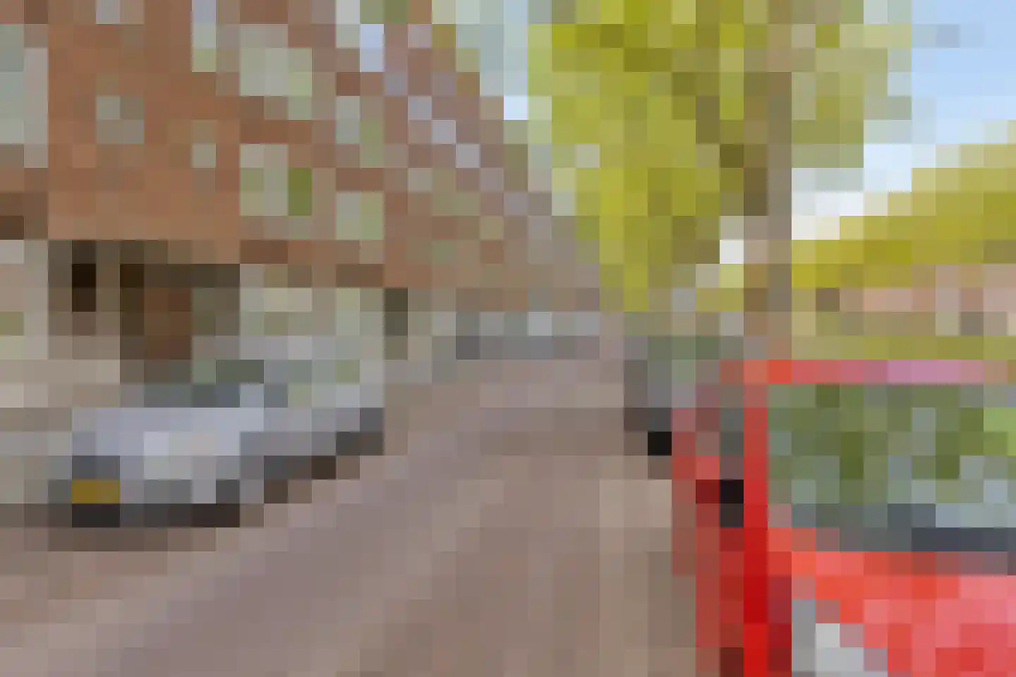 Pleinweg 102 D Rotterdam thumbnail 37